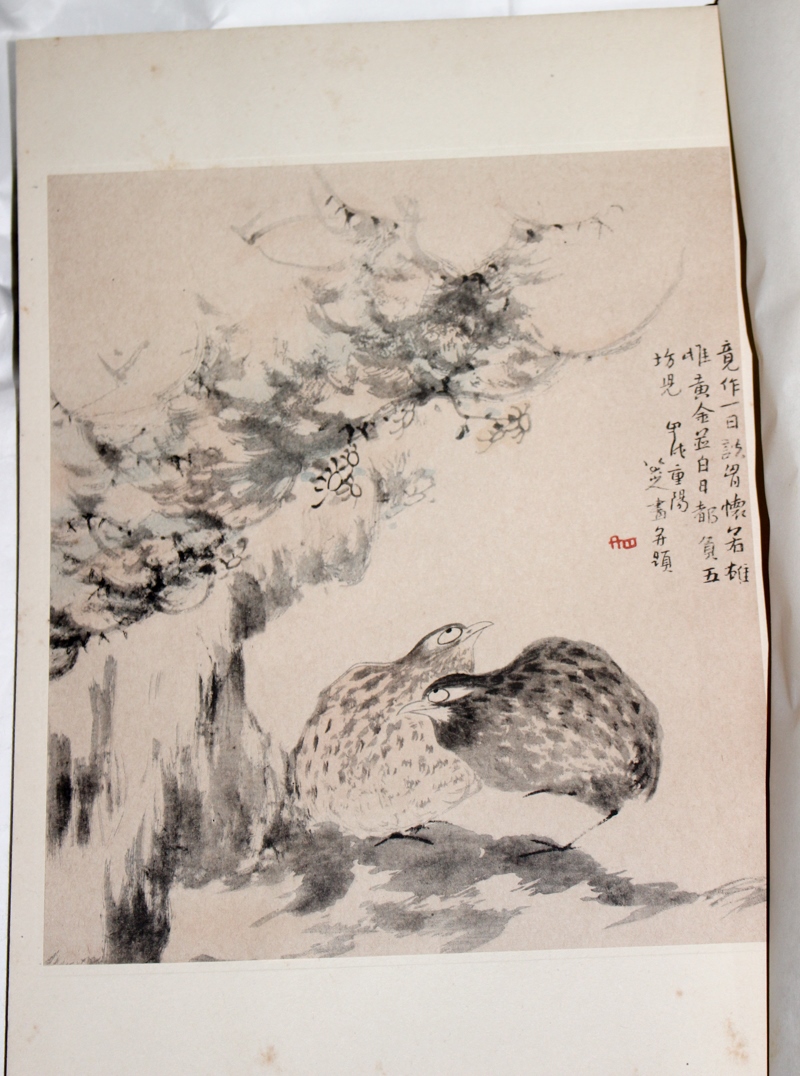 八大山人画撰』聚楽社 2017/04/04 | 悠久堂書店